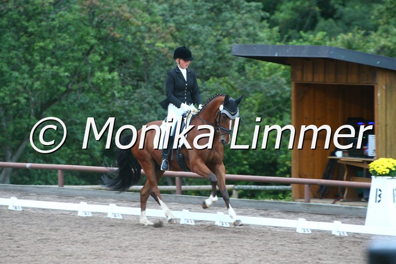 109M2932_Charly Jumper_Dressurpferde_L.JPG